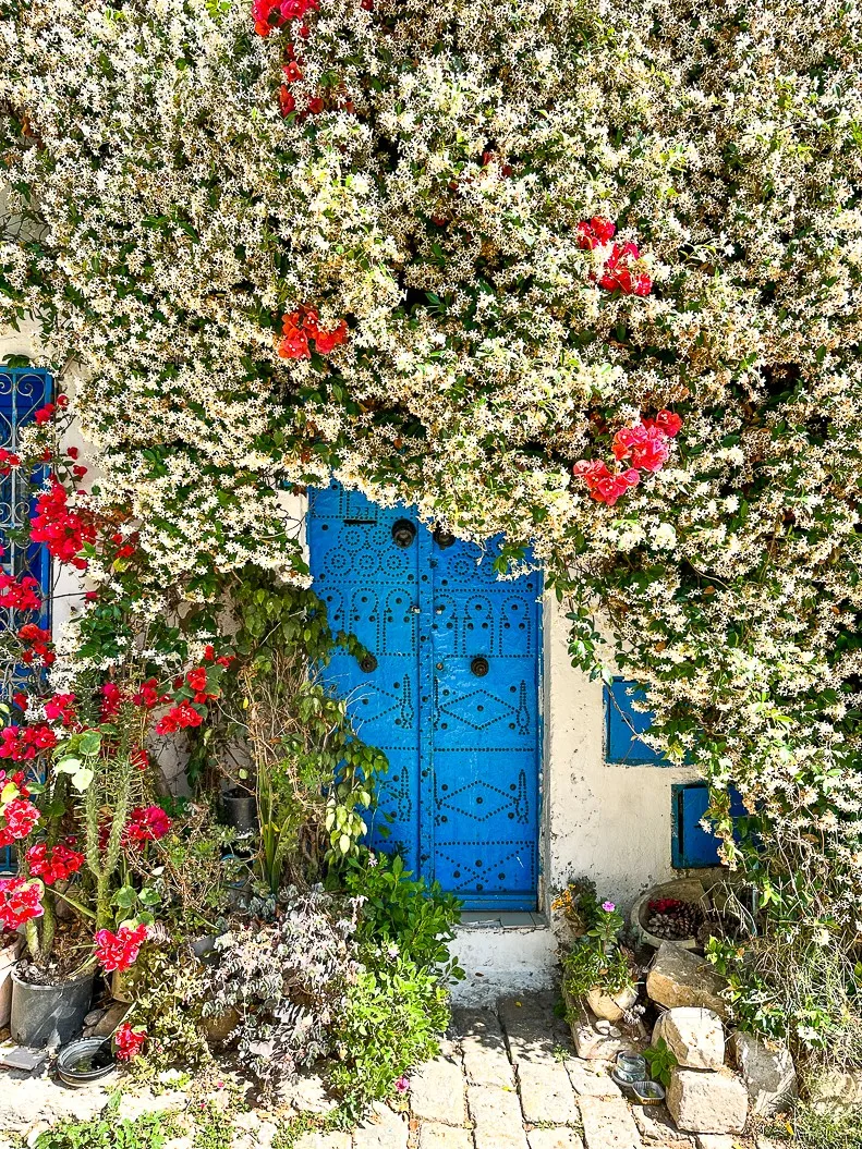 Blue-white Sidi Bou Said detail